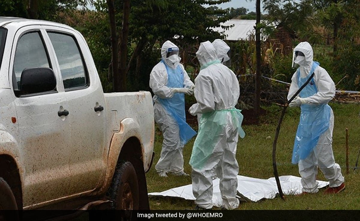 US Health Body Warns Of Deadly Marburg Virus After Outbreak In Africa