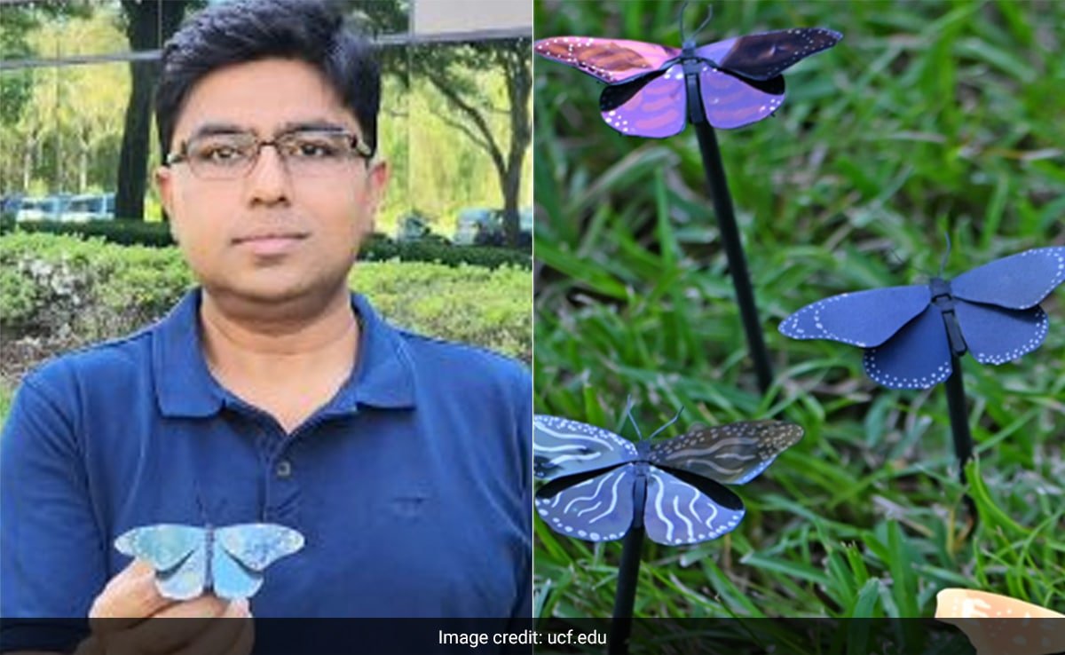 Indian-Origin Scientist Creates World's First Energy-Saving Paint, Inspired By Butterflies